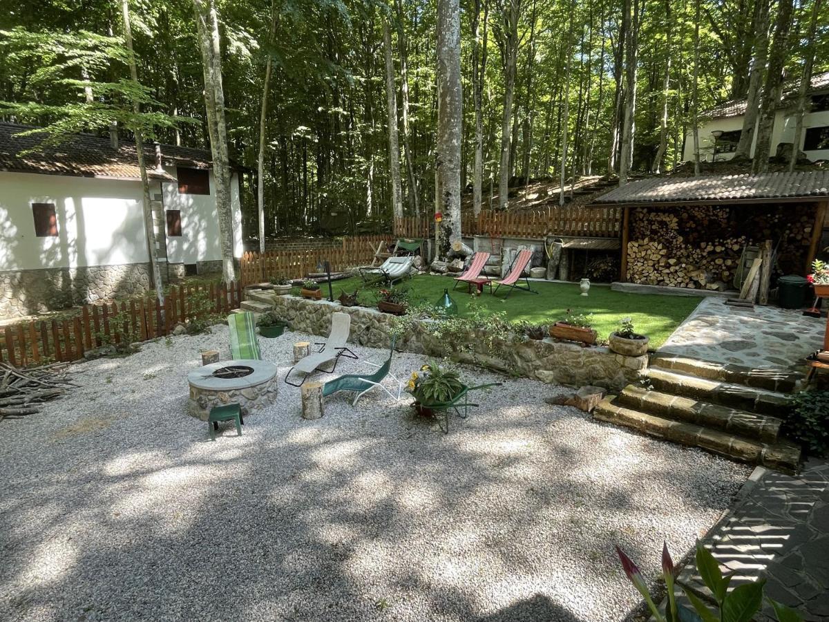 Chalet I Folletti Leilighet Abbadia San Salvator Eksteriør bilde