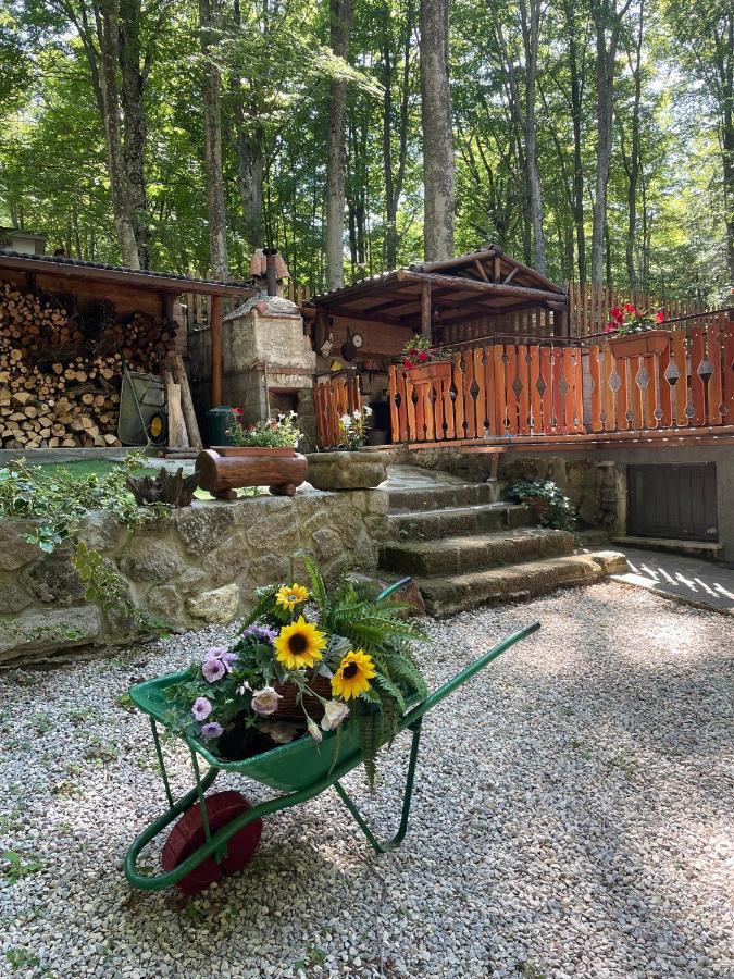 Chalet I Folletti Leilighet Abbadia San Salvator Eksteriør bilde